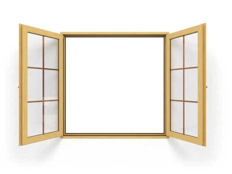 French casement is like the double casement windows but does not have the central mullion.